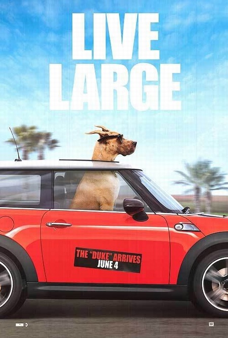 Мармадюк (2010) — Фильм.ру