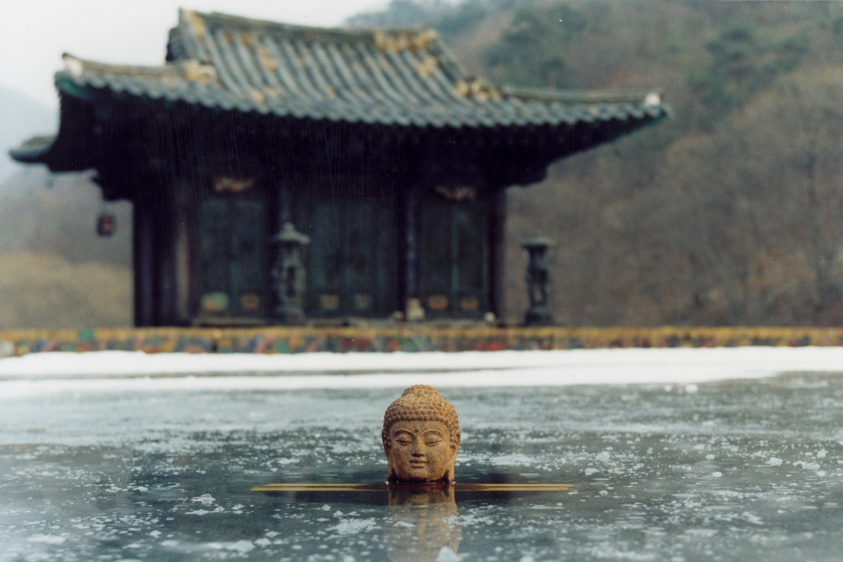 Весна, лето, осень, зима… и снова весна