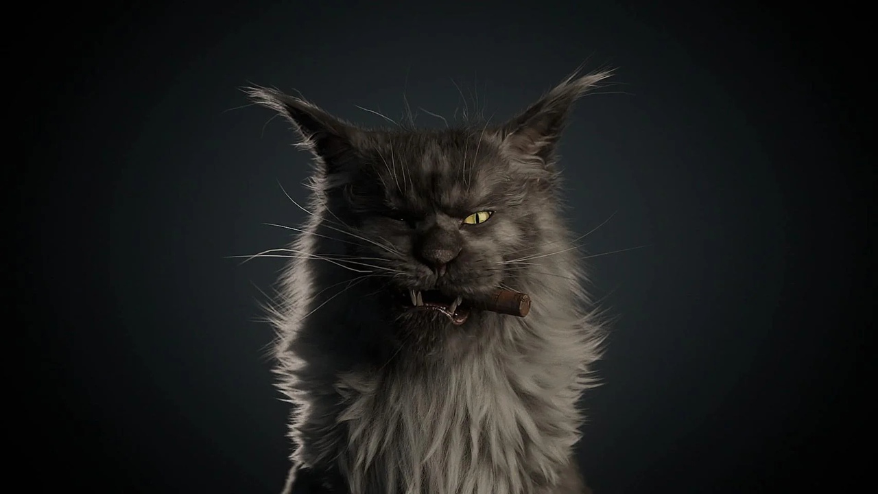 Стал доступен первый взгляд на кота Бегемота в фильме «Воланд»
