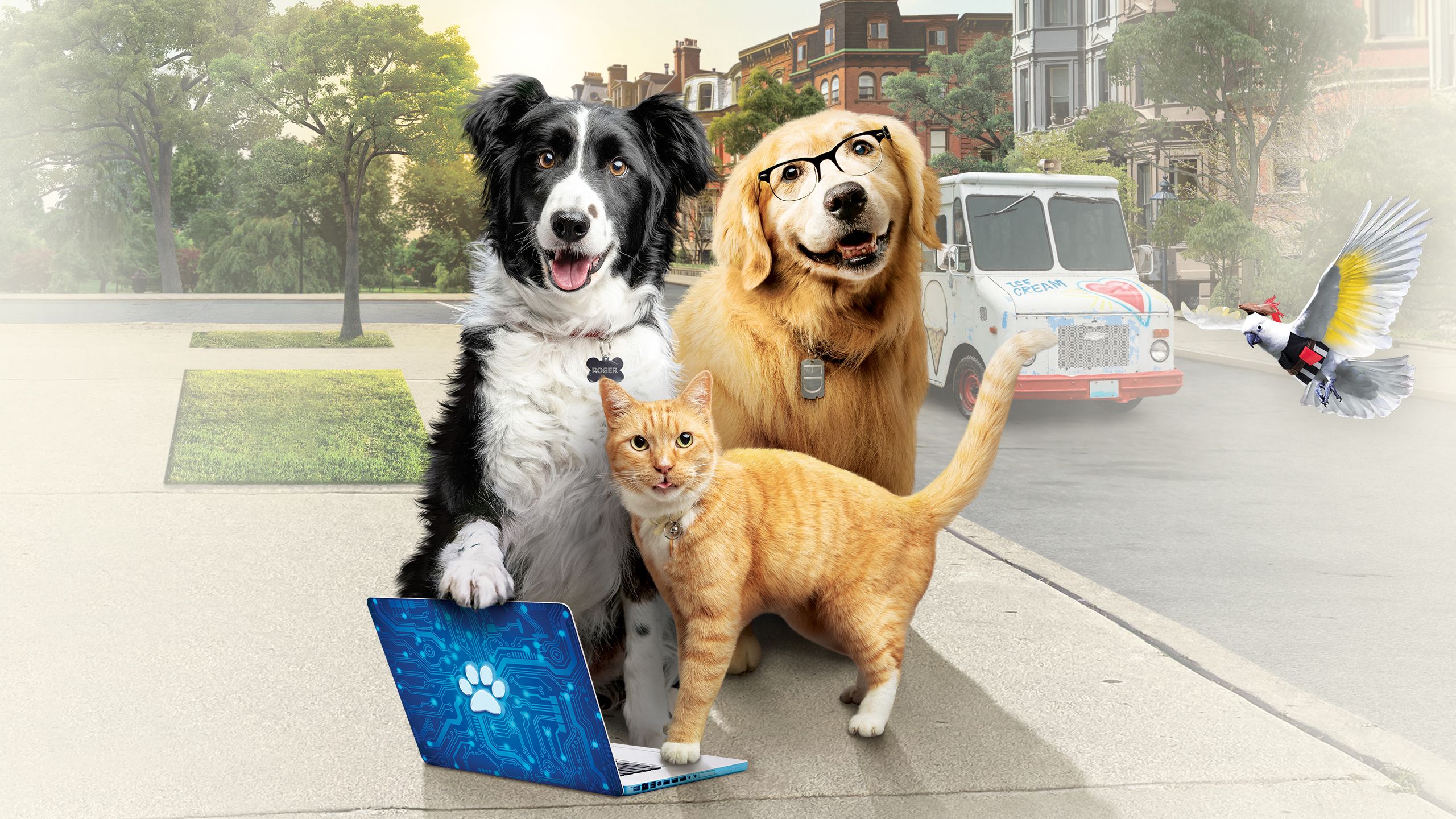 10 лет спустя: Появился трейлер третьей части семейной комедии «Кошки против собак»