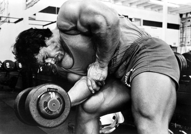 Iron Arni