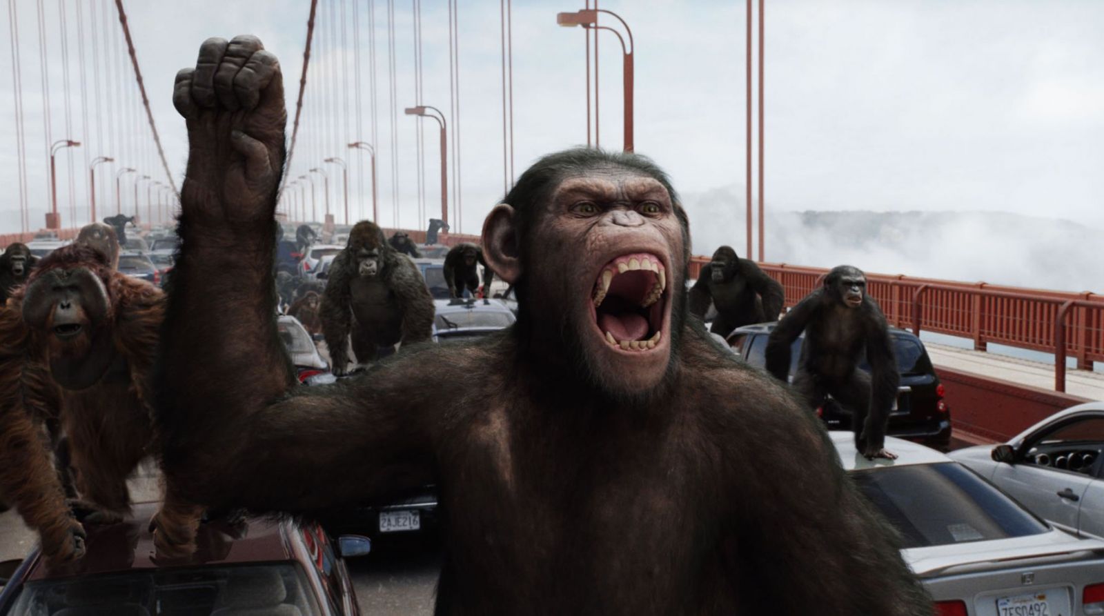 Кадр из фильма "Восстание планеты обезьян"