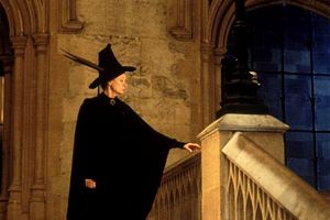 the controversy over harry potter essay the controversy over harry potter essay