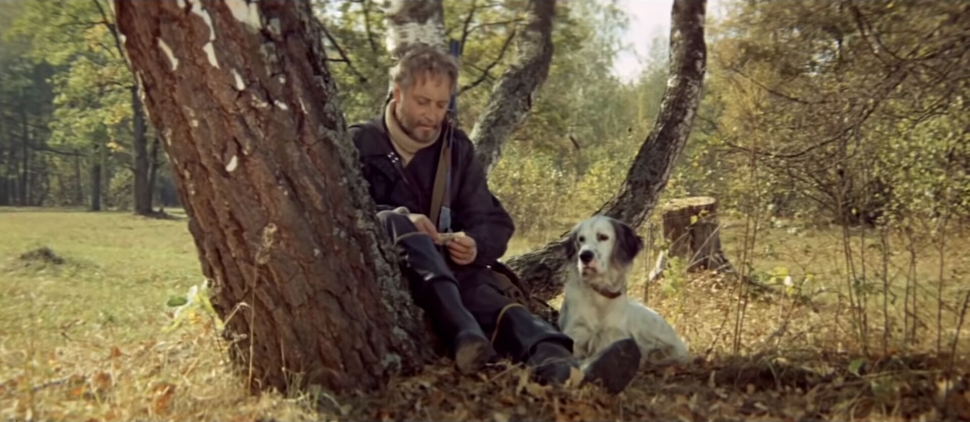 Белый Бим Черное Ухо (1977) — Фильм.ру