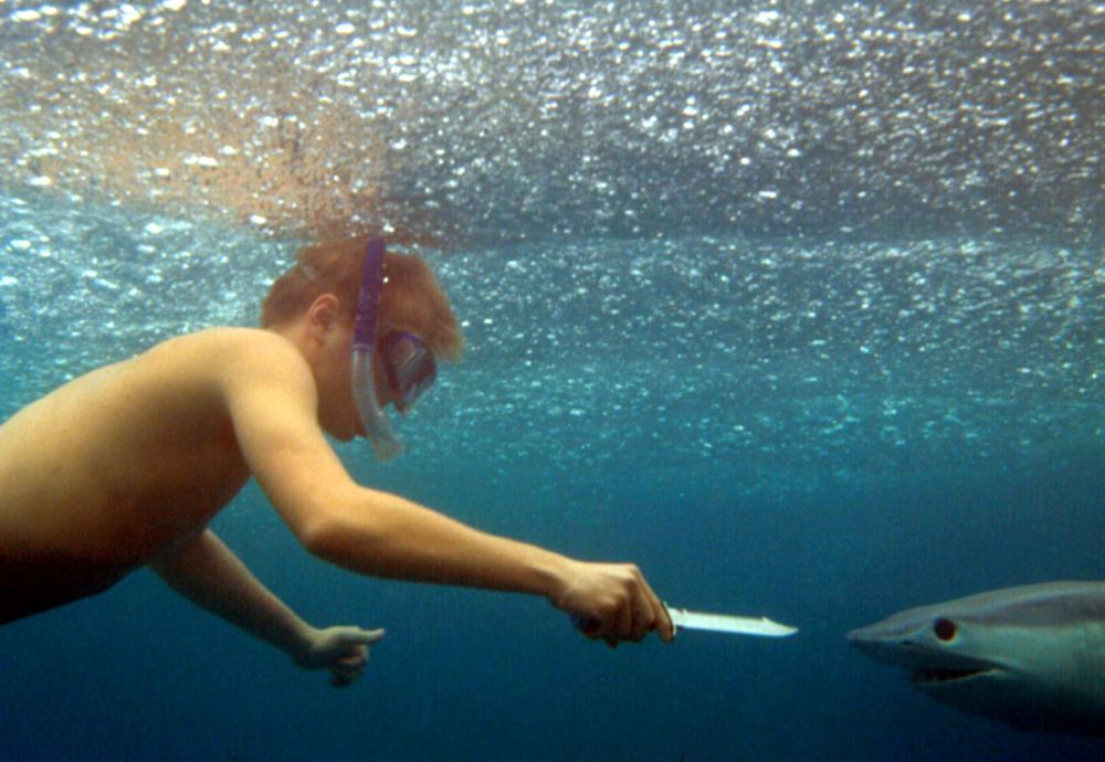 кадры из фильма пляж The Beach 2000 фото актеров и