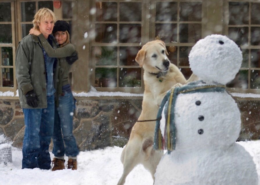 Марли и я (2008) — Фильм.ру