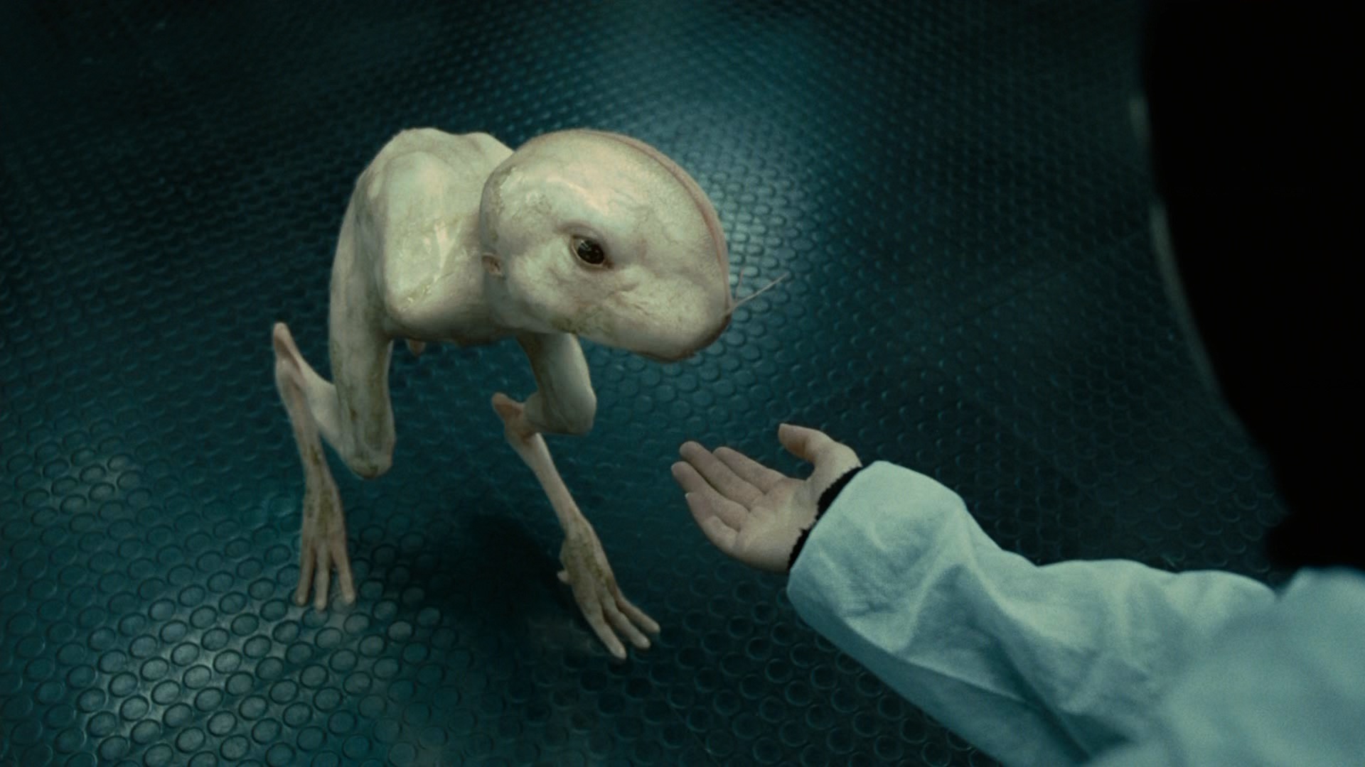 Химера (2009) — Фильм.ру