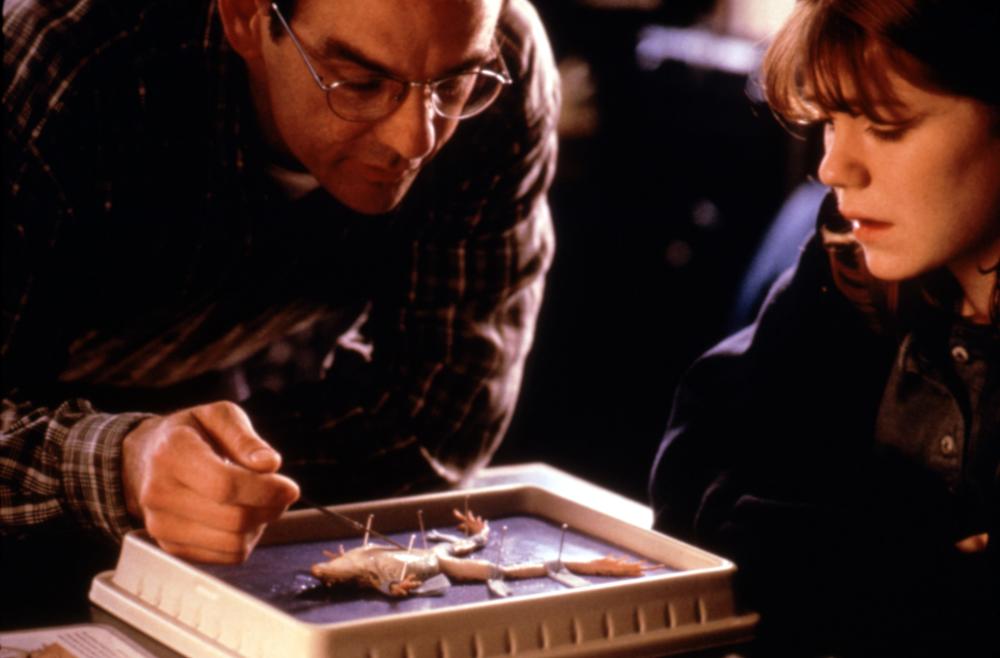 Ложный огонь (1996) — Фильм.ру
