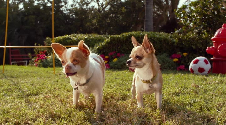 крошка из беверли хиллз 3. дженни из крошка из беверли хиллз. педро из крошка из беверли хиллз. крошка из беверли зилл. кро́шка из бе́верли-хиллз 3.