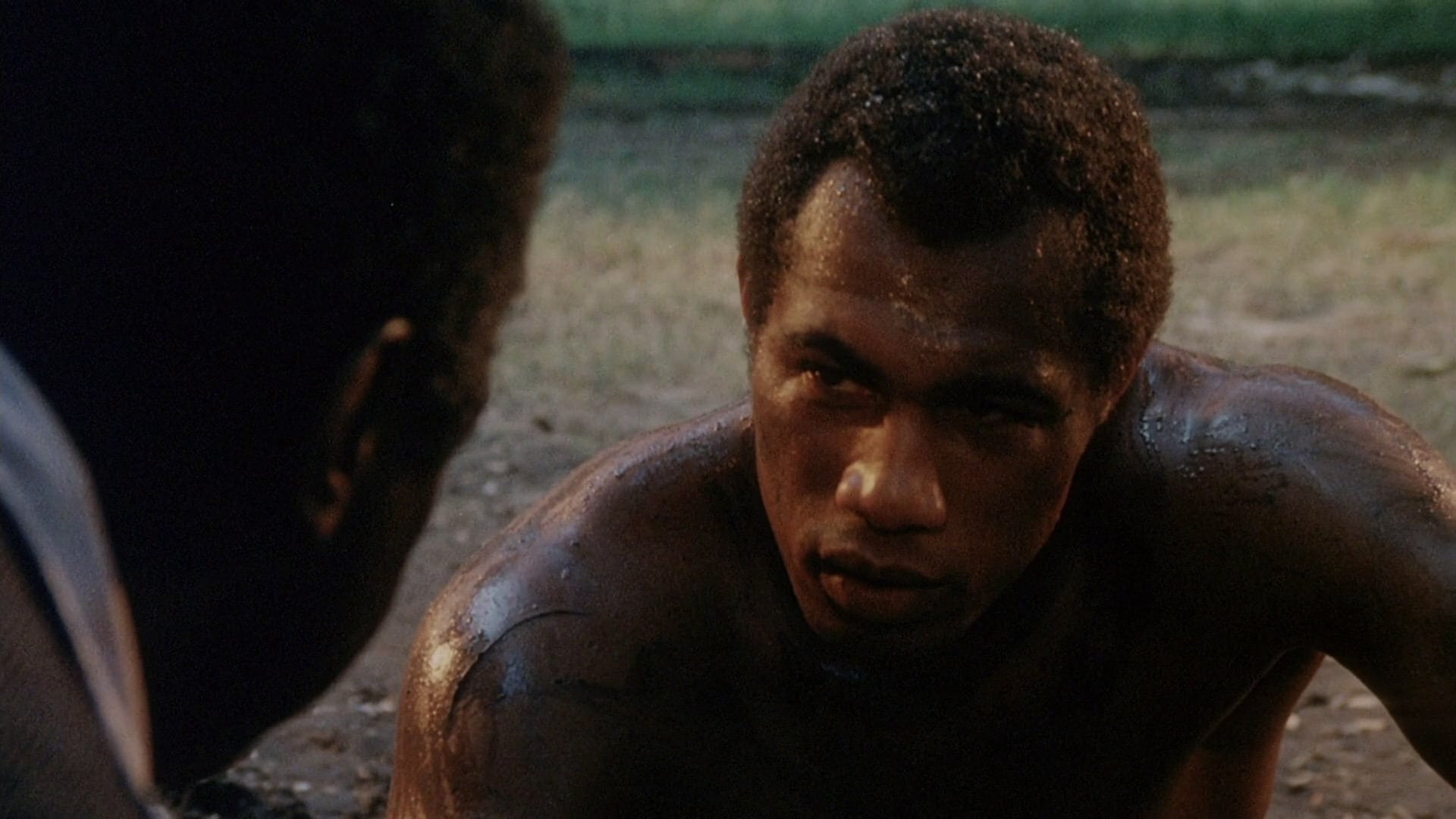 Мандинго 1975. Мандинго. Мандинго. Мандинго. Фредерик ламонт актер.