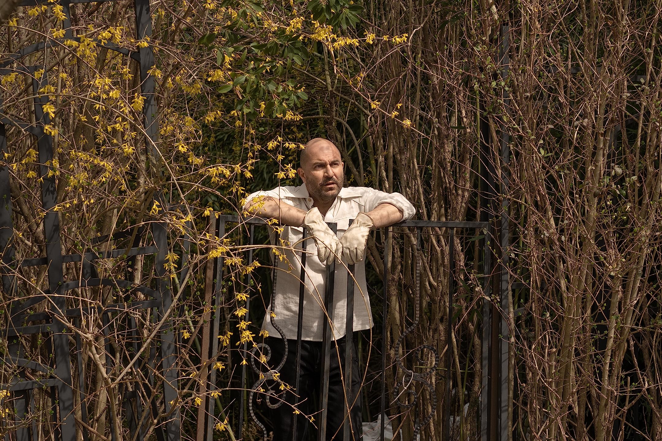 Переполненная комната (сериал, 2023, 1 сезон) — Фильм.ру