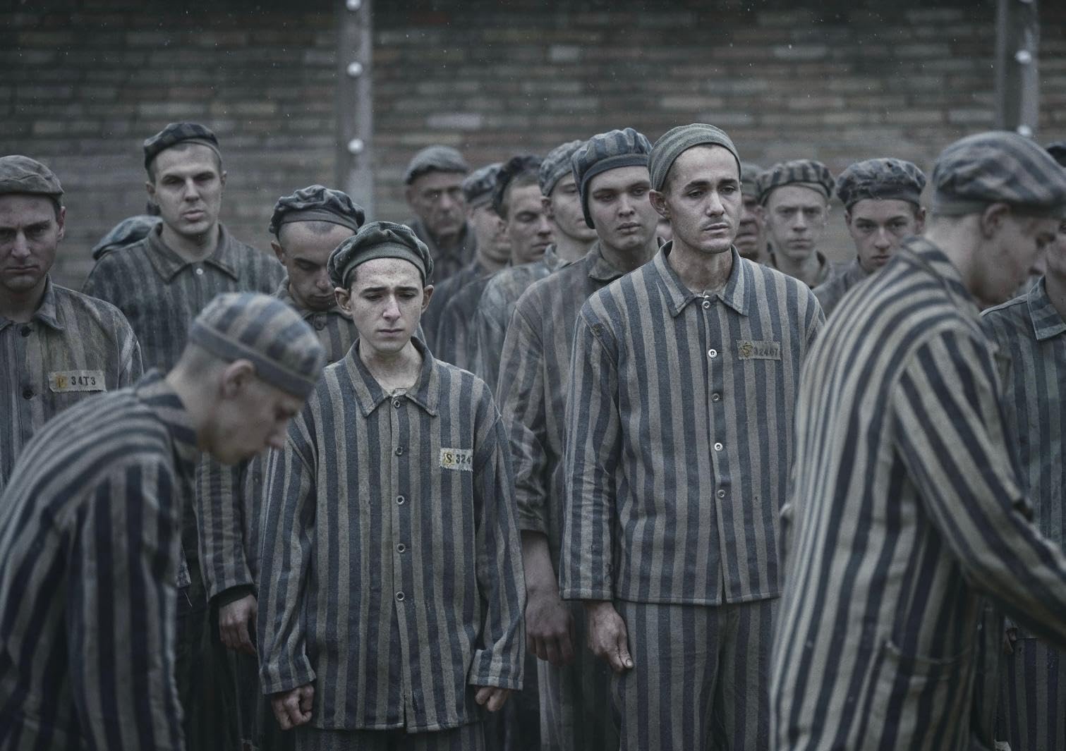 Татуировщик из Освенцима (сериал, 2024, 1 сезон) — Фильм.ру