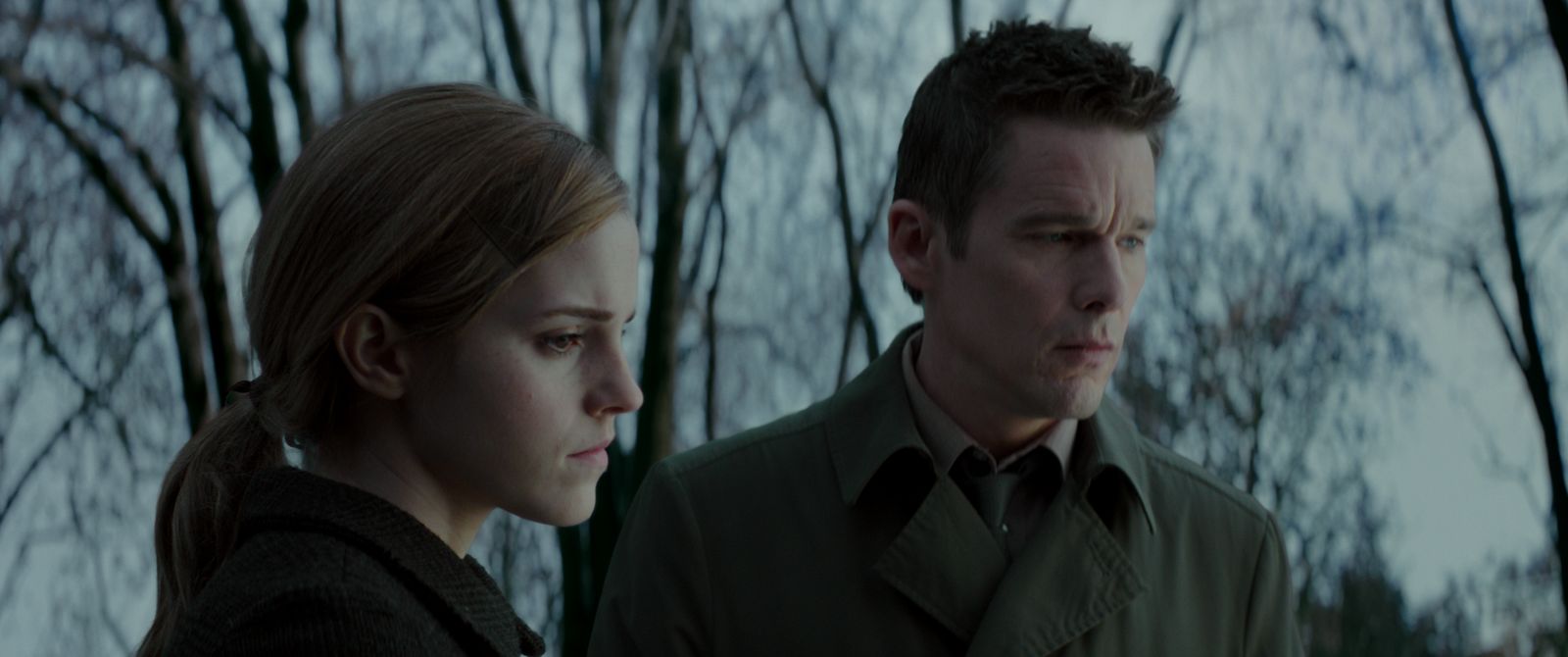Затмение (2015) — Фильм.ру