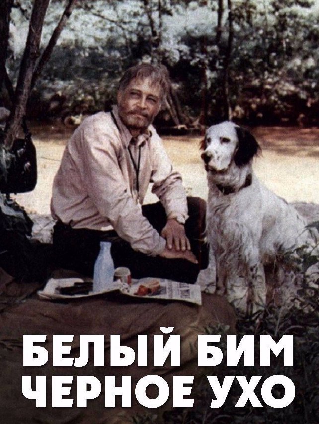 Белый бим черное ухо картина