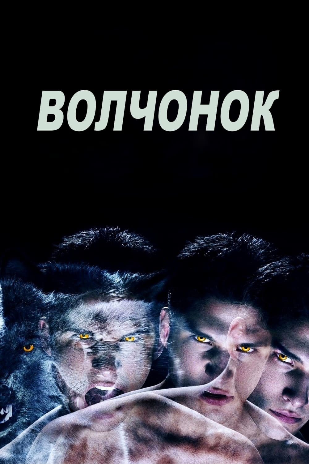 Оборотень (сериал, 2011, 6 сезонов) — Фильм.ру