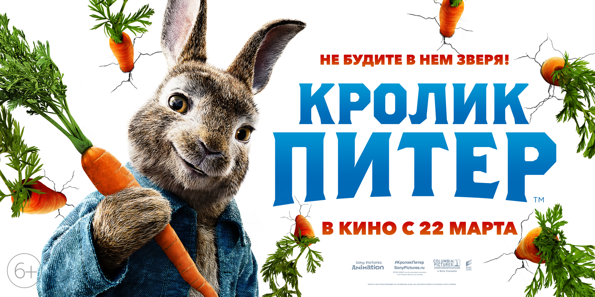 Кролик питер