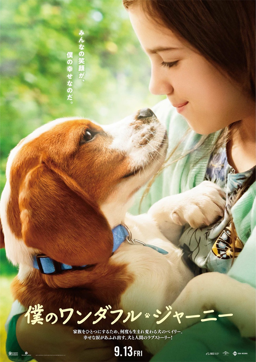 Собачья жизнь 2 (2019) — Фильм.ру