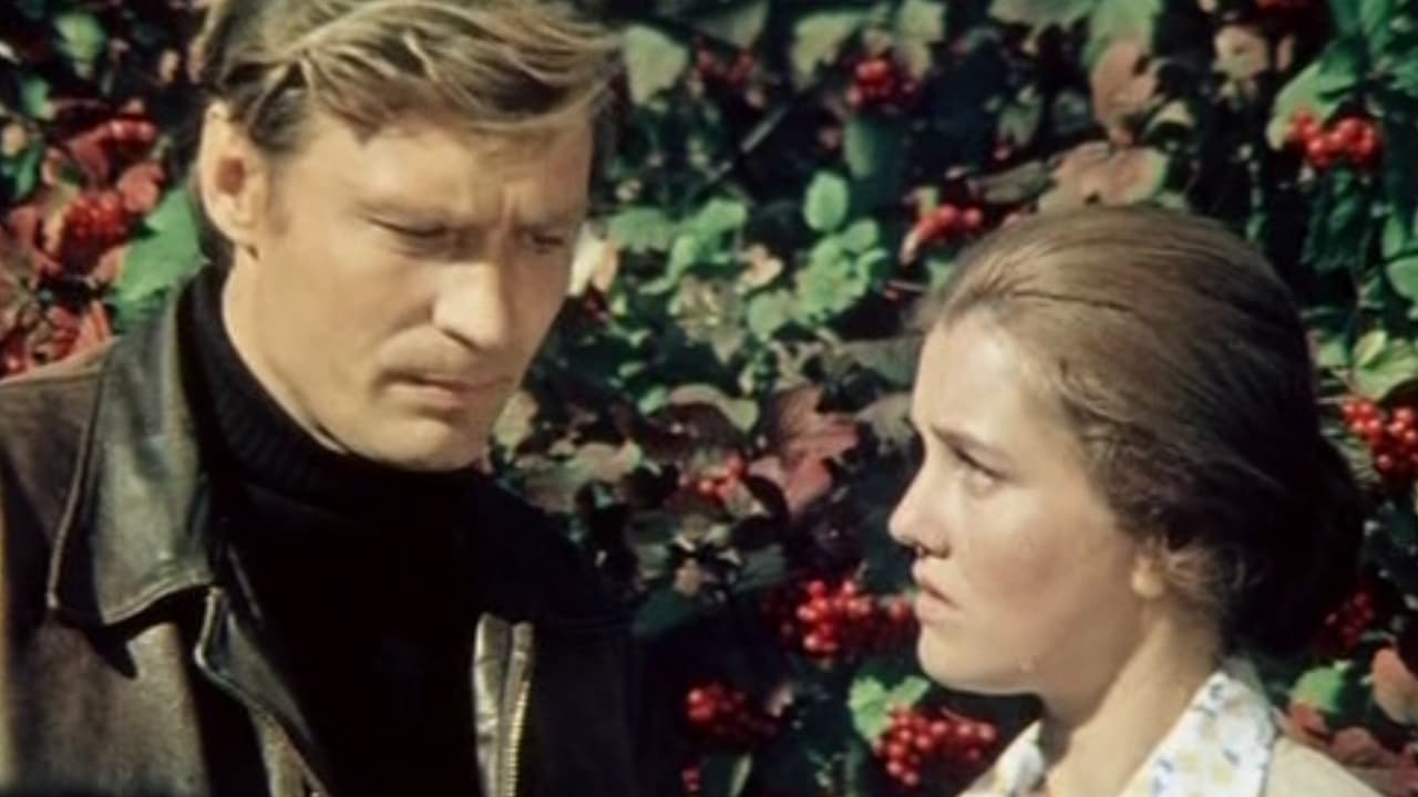 Приезжая (1978) — Фильм.ру