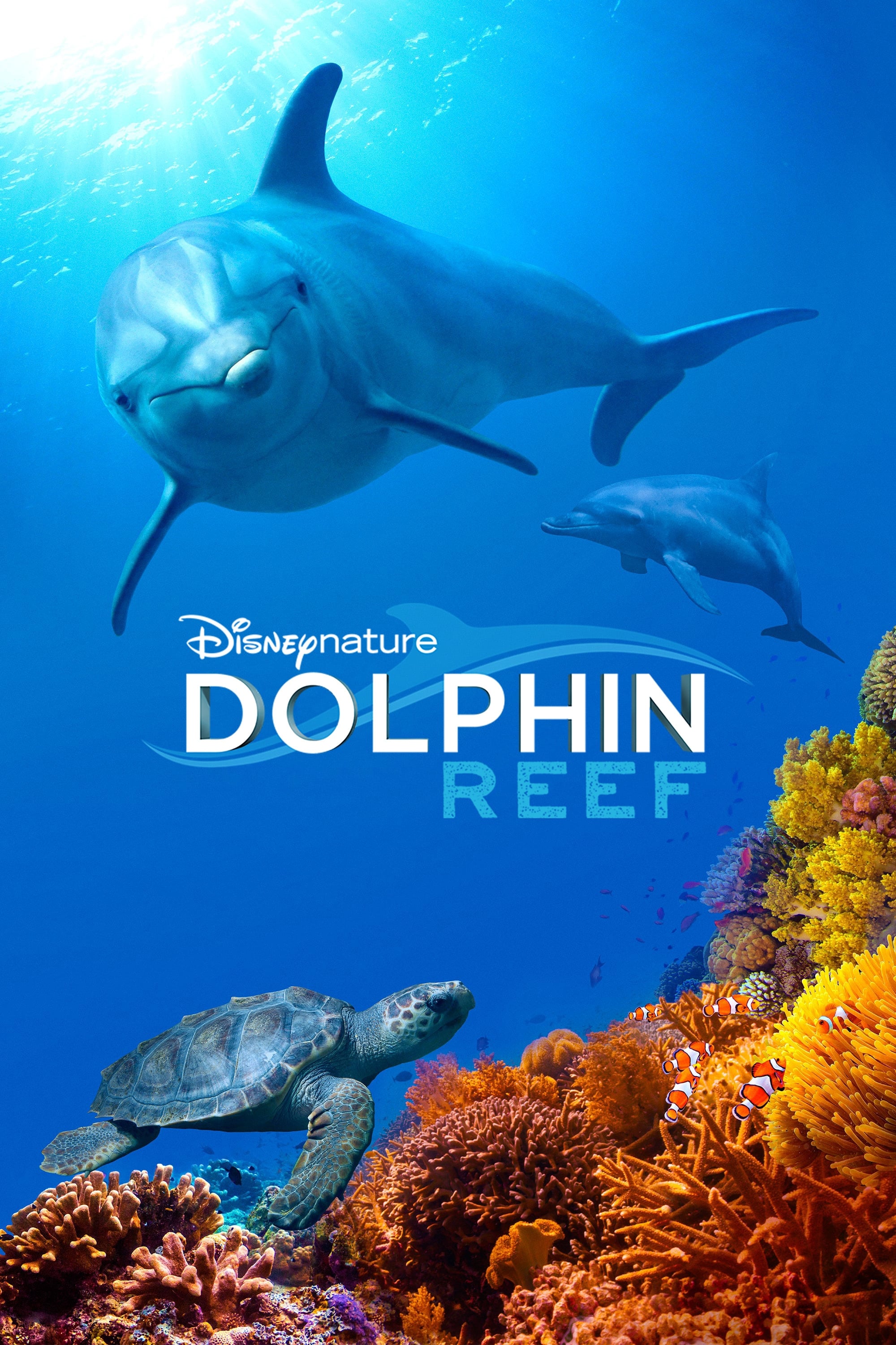 Дельфиний риф (2018) — Фильм.ру