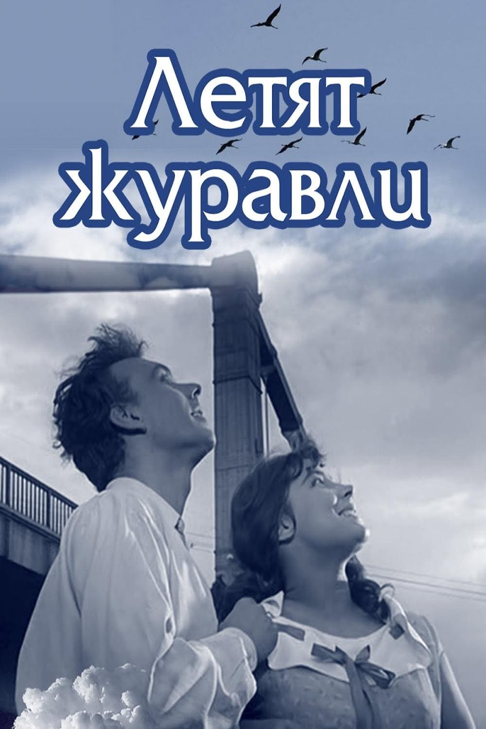 lyrics улетели журавли в небо синее владимир ждамиров