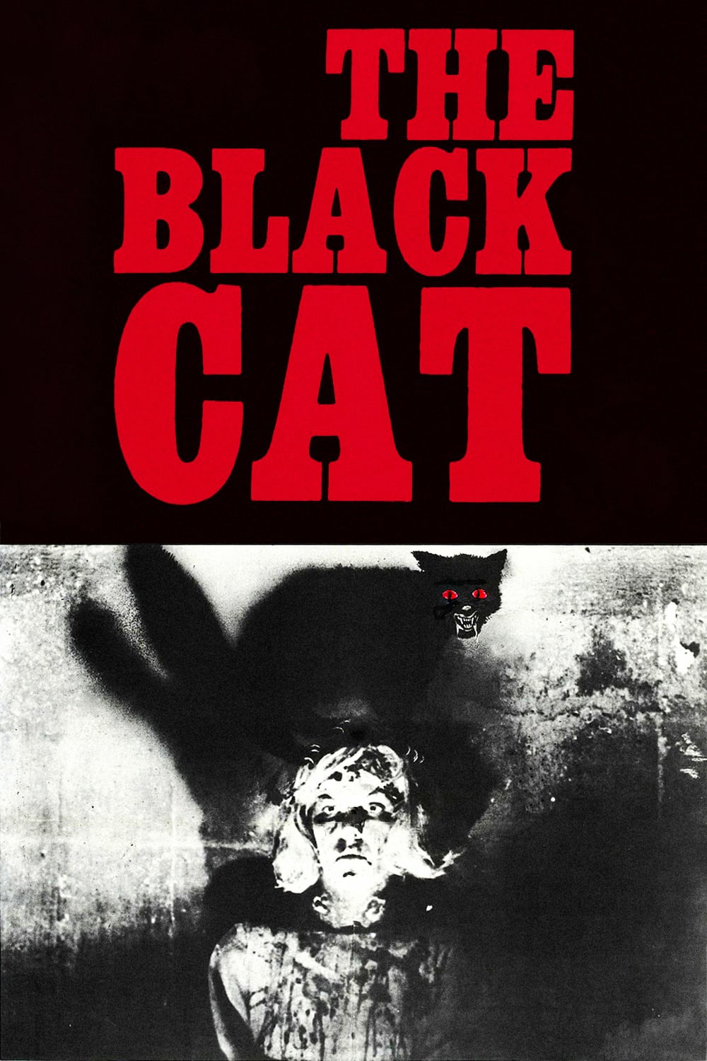 Чёрный кот (1966) — Фильм.ру