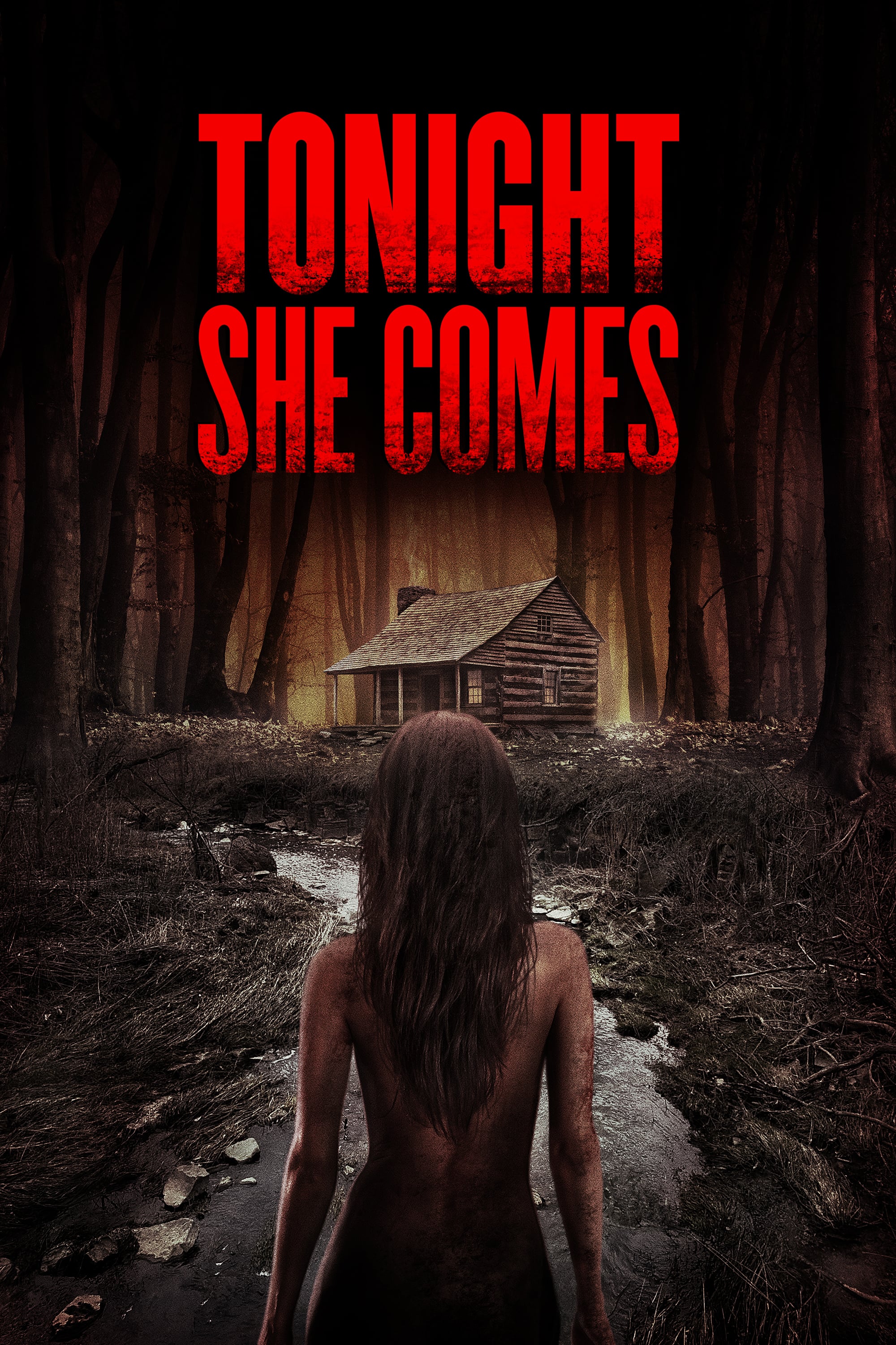 She comes the game. Она придёт сегодня ночью - Tonight she comes (2016).