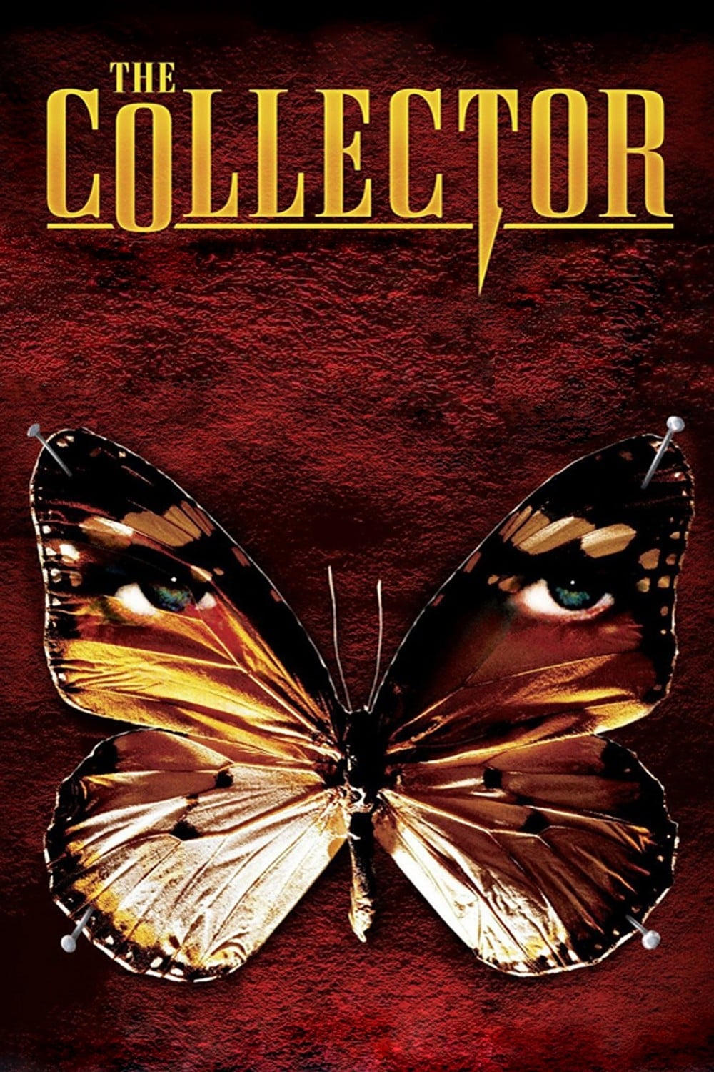 Коллекционер (1965) — Фильм.ру