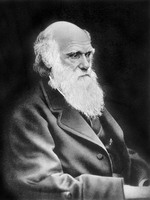 Чарльз Дарвин -- основатель теории эволюции -- станет героем картины режиссера Джон Эмиэл (