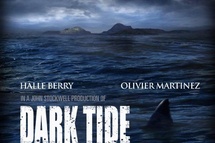 Холли Берри играет инструктора по дайвингу, пытающегося прийти в себя после встречи с большой белой акулой