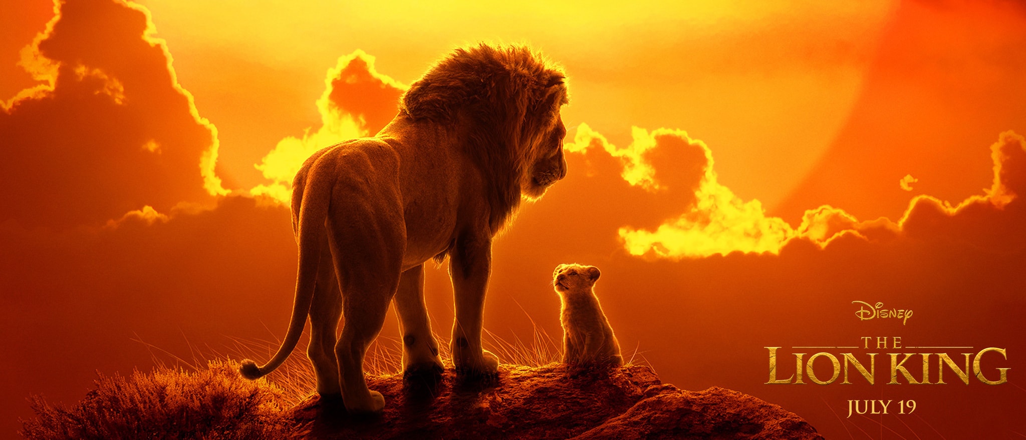 В Сети опубликованы новые промо-фото «Короля Льва»
 
