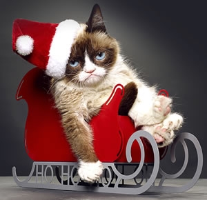 Первый кадр из «Худшего Рождества Сердитого кота»…