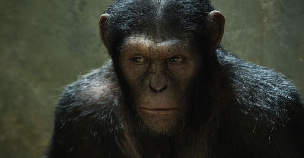 Энди Серкис будет выдвинут на Оскар за роль обезьяны «Цезаря»