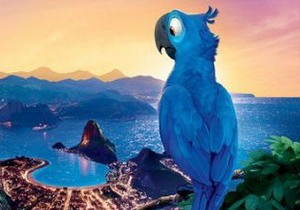 Попугай Голубчик и его семья отправляются из Рио-де-Жанейро в дебри Амазонки, чтобы научиться жить так, как жили их предки