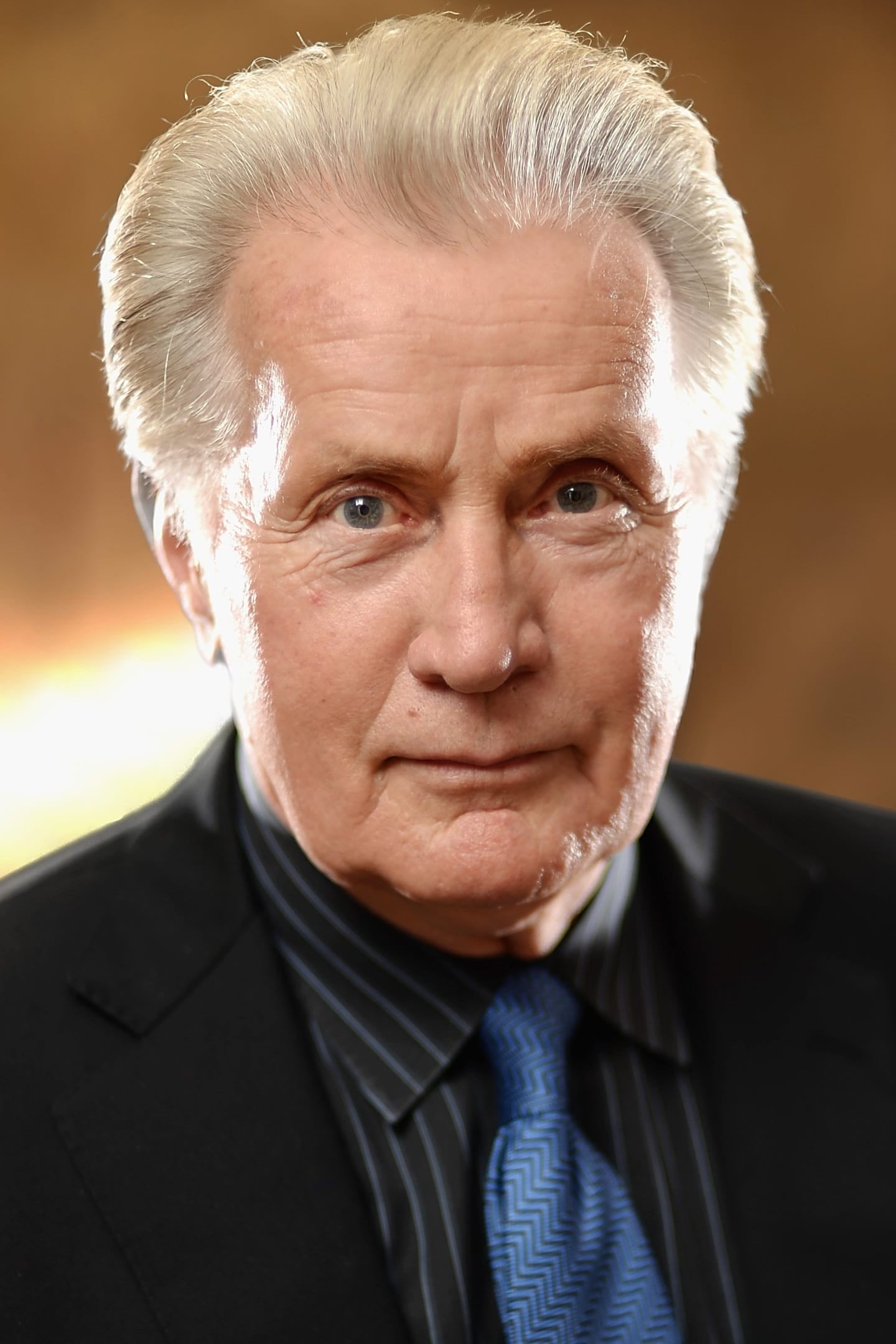 Мартин Шин (Martin Sheen) - Фильмы и сериалы