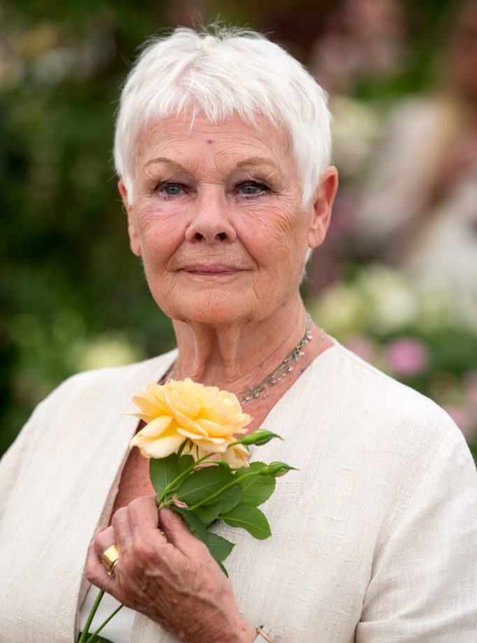 Джуди Денч (Judi Dench) - Фильмы и сериалы