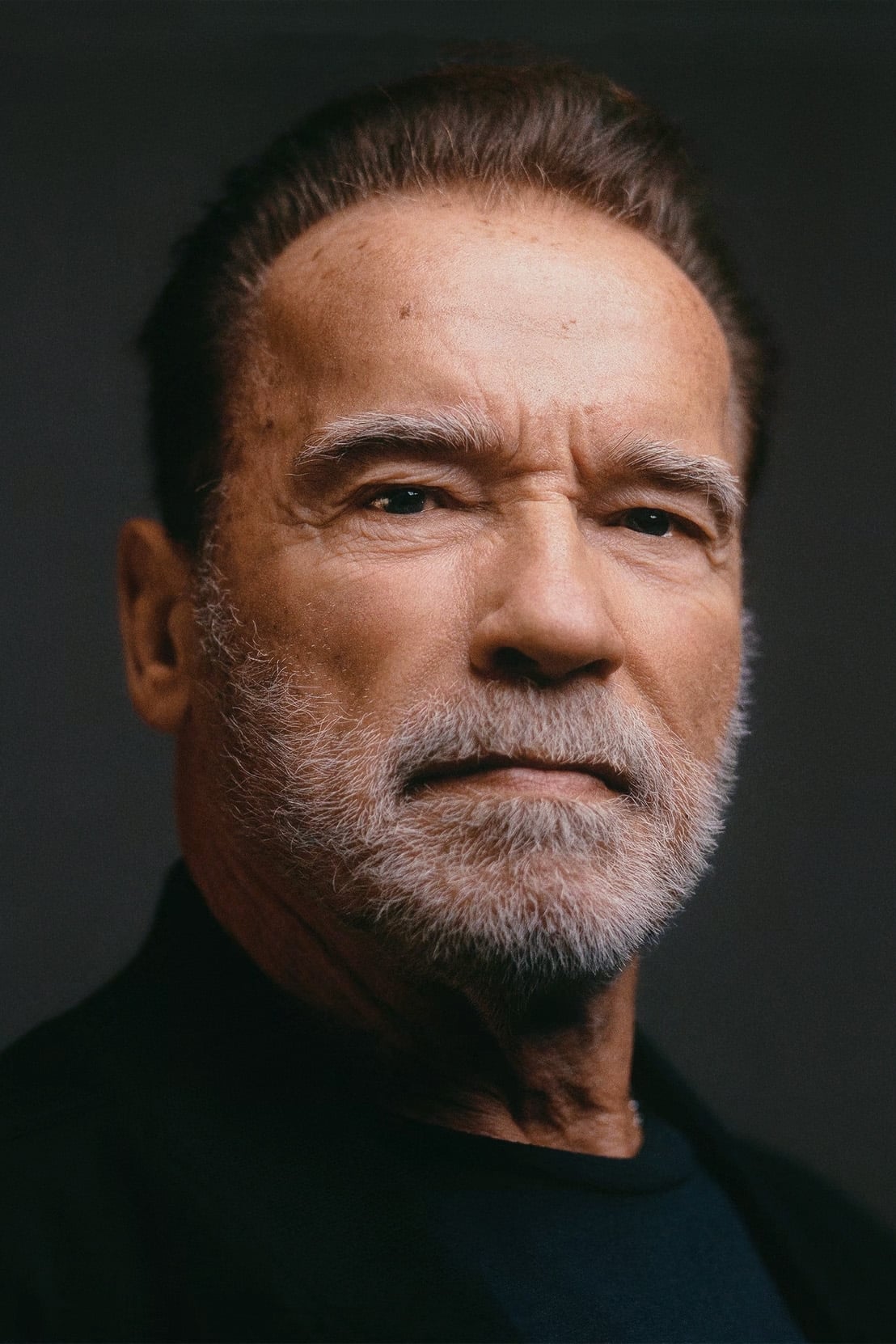 Арнольд Шварценеггер (Arnold Schwarzenegger) - Фильмы и сериалы