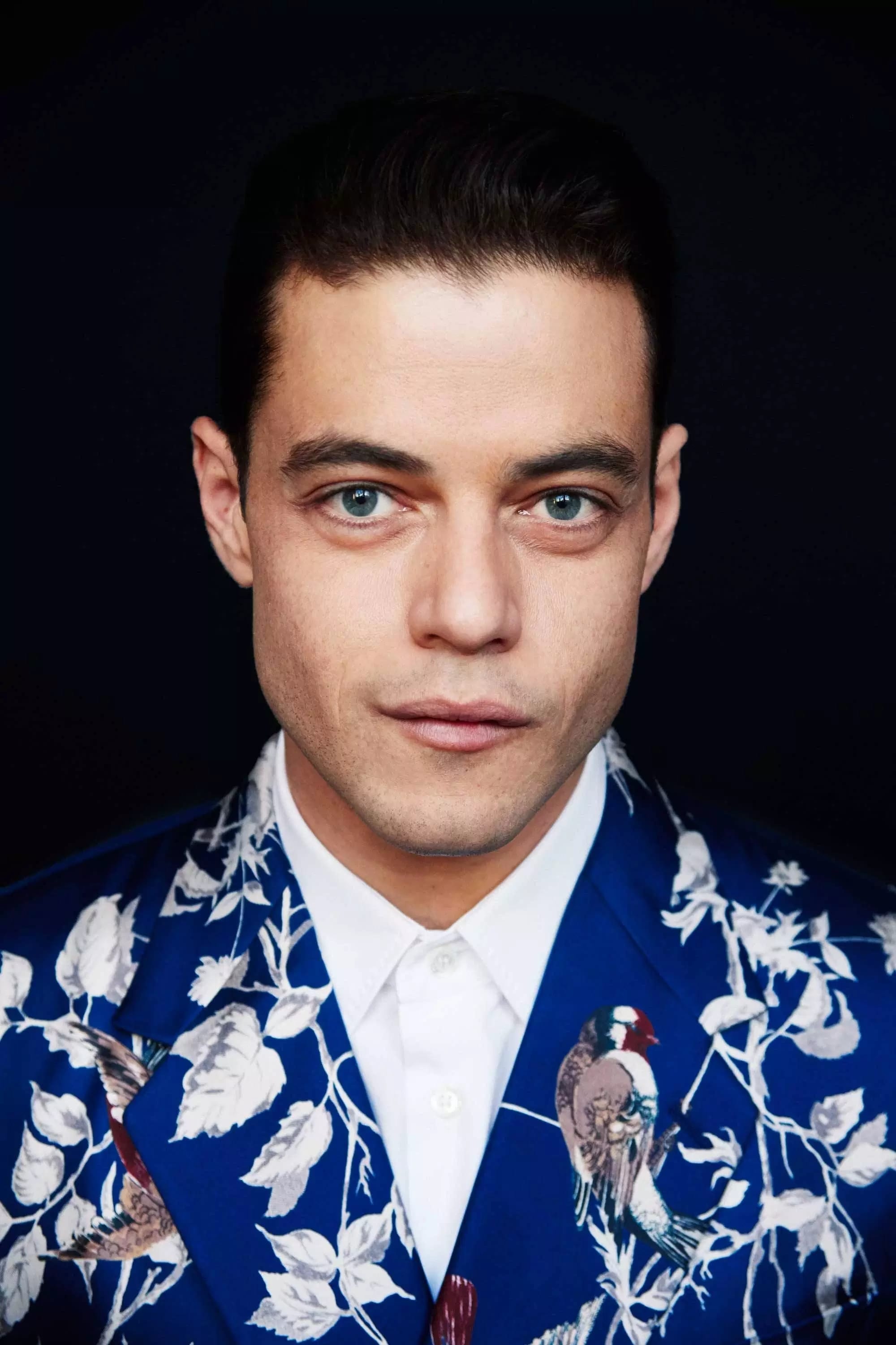 Рами Малек (Rami Malek) - Фильмы и сериалы