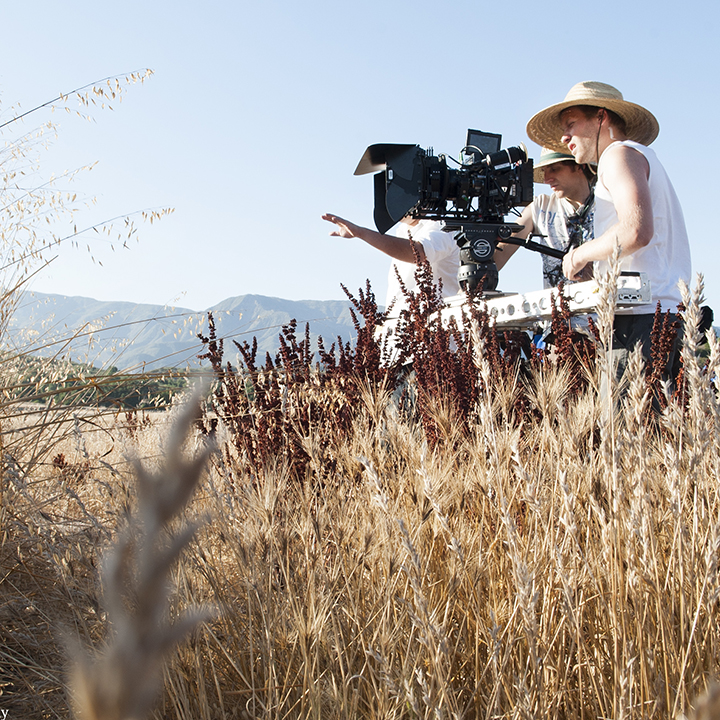 Дэниэл Ринк