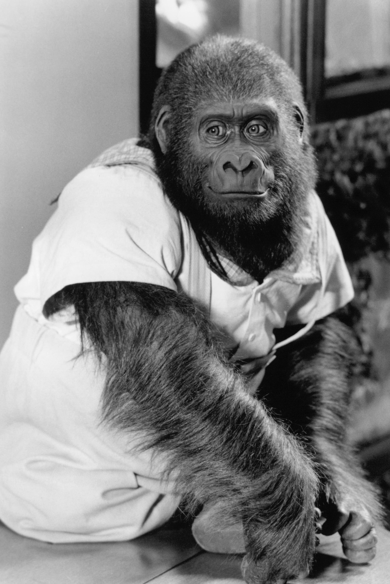 Питер Херст