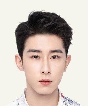 Фэн Сун Линь (Lin Feng Song) - Фильмы и сериалы