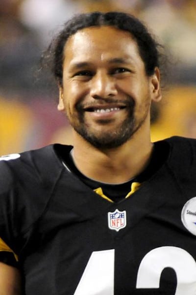 Troy Polamalu