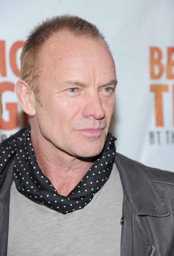 Стинг (Sting) Фильмы и сериалы