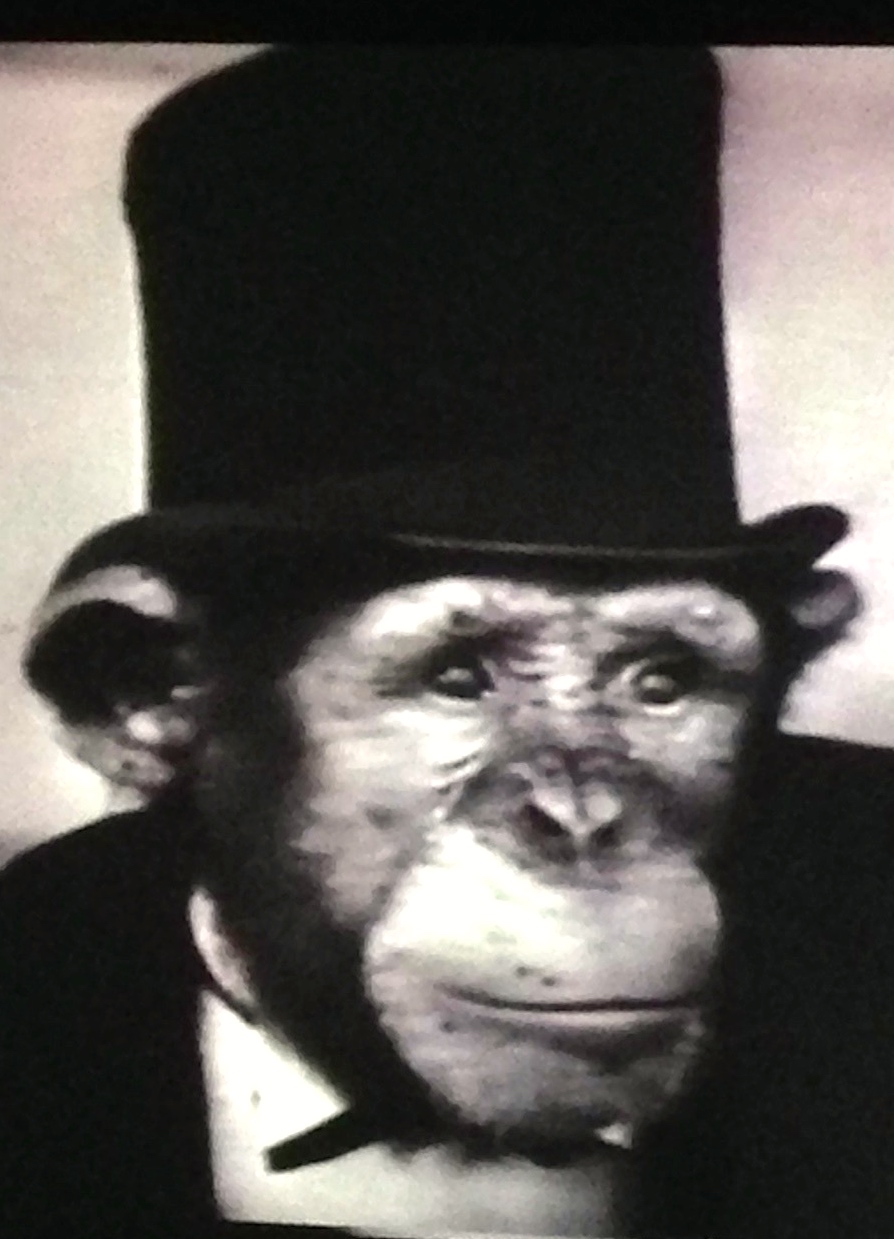 Ричард Абрамовиц