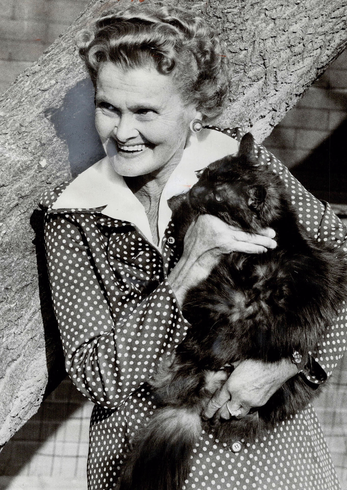 Джой Адамсон