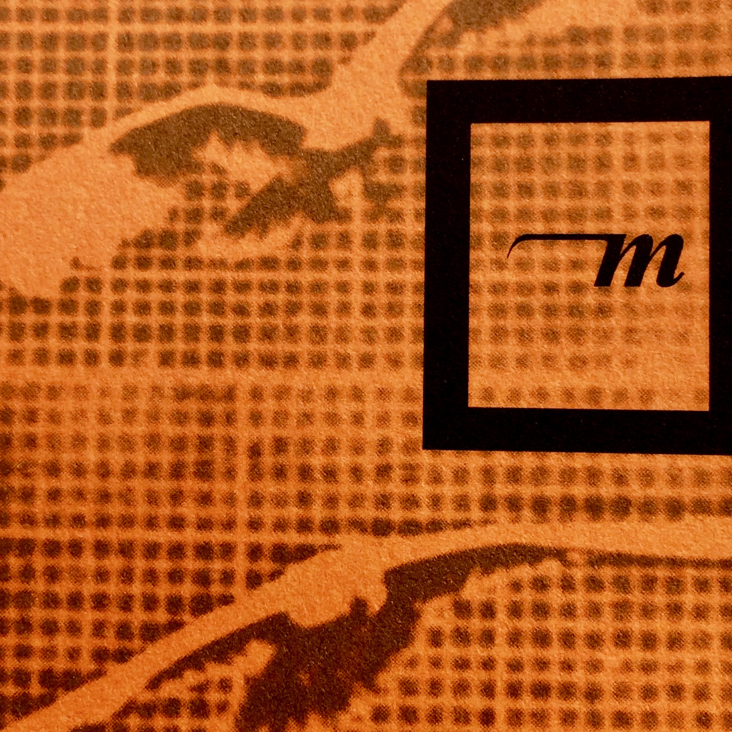 Белинда Аллен