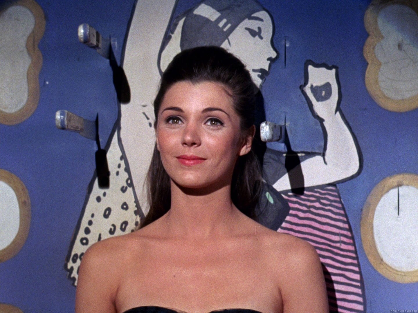 Донна Баккала