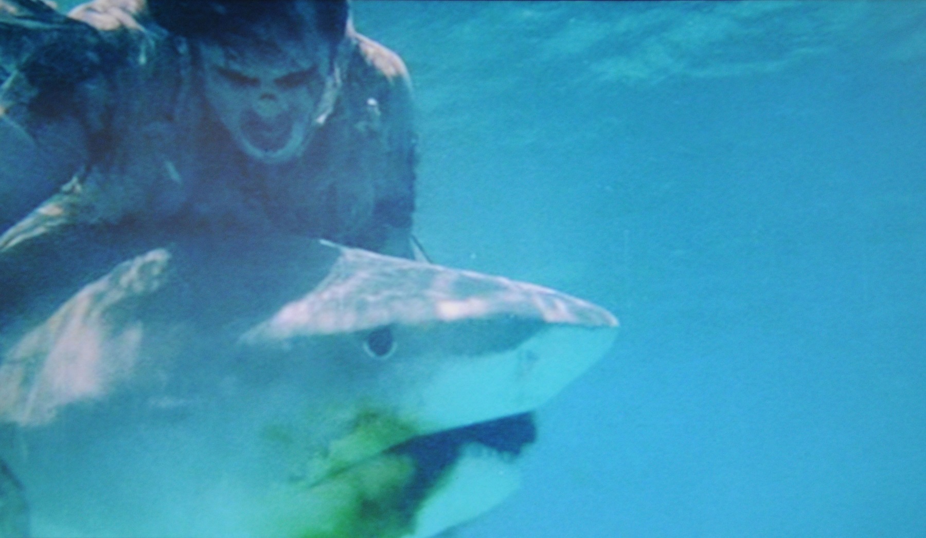 Рамон Браво