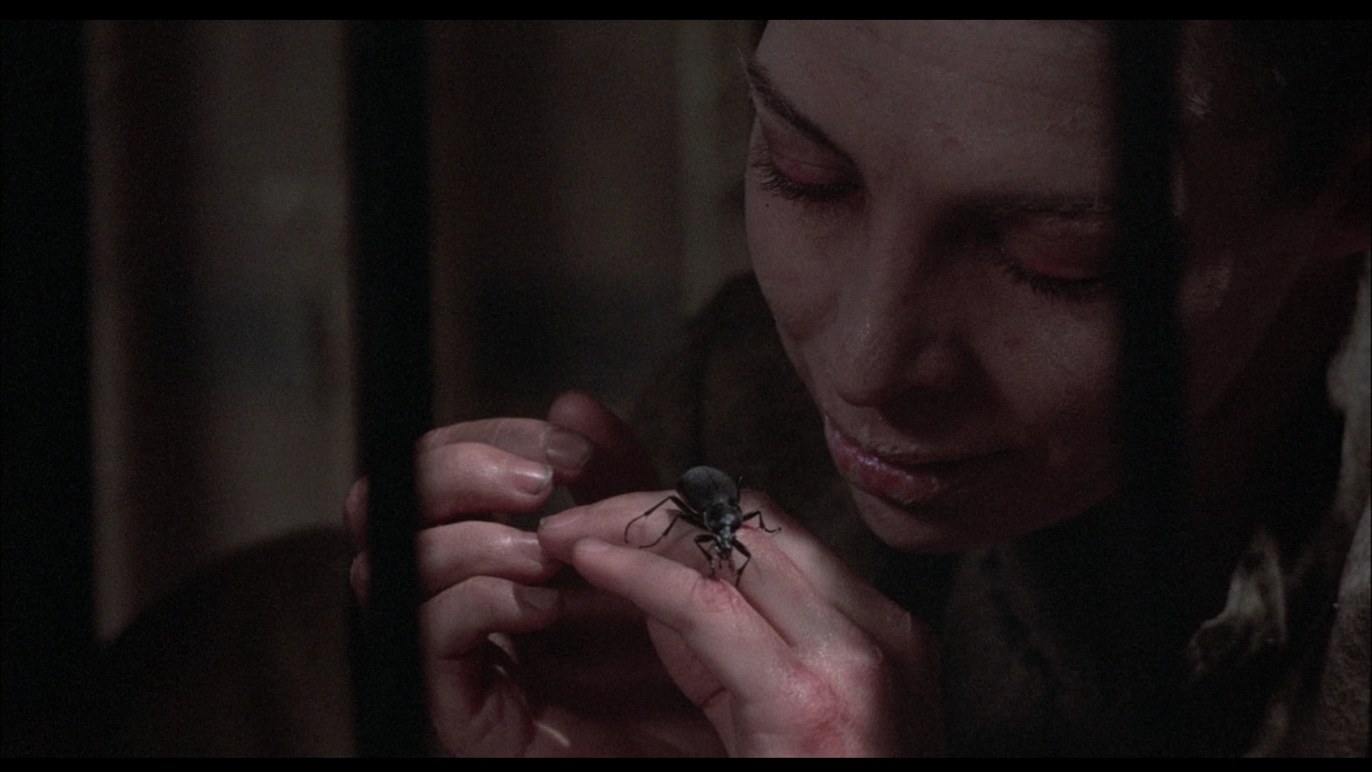 Салли Браун