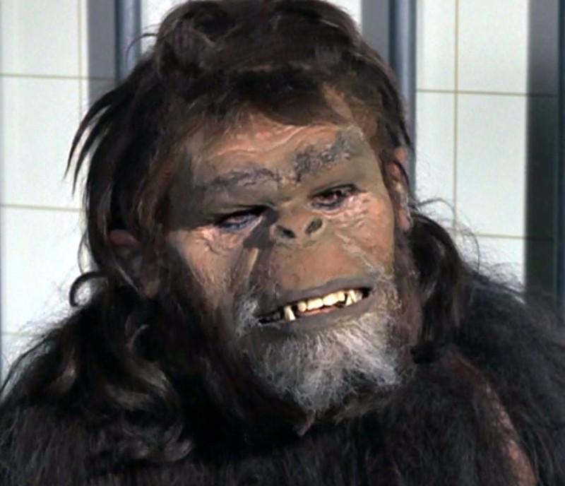 Джо Корнелиус