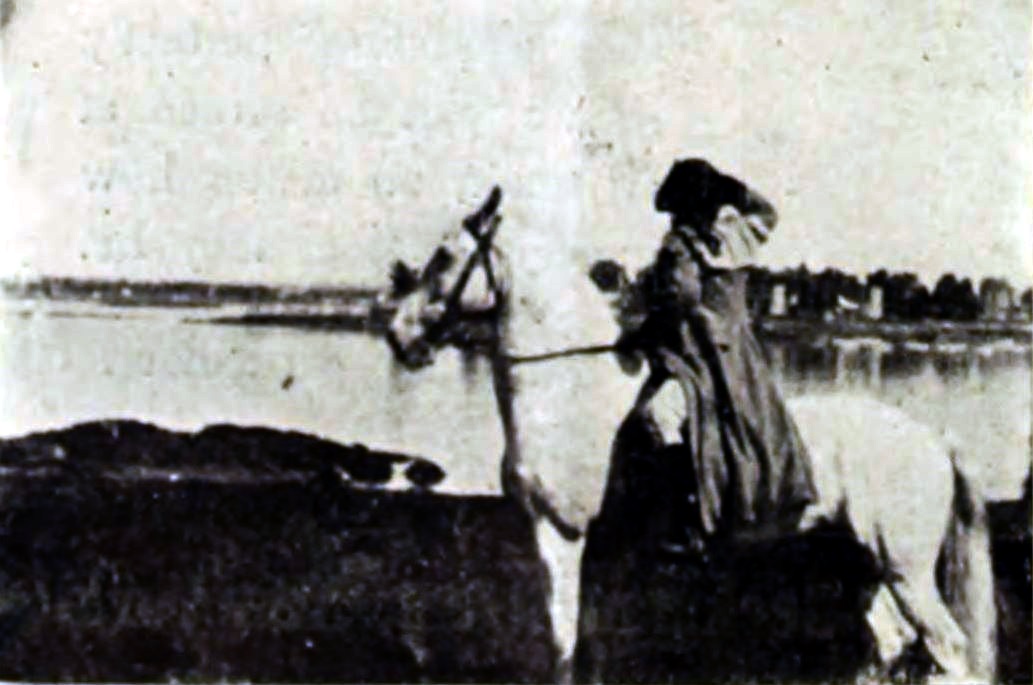 Франк Холл  Крейн